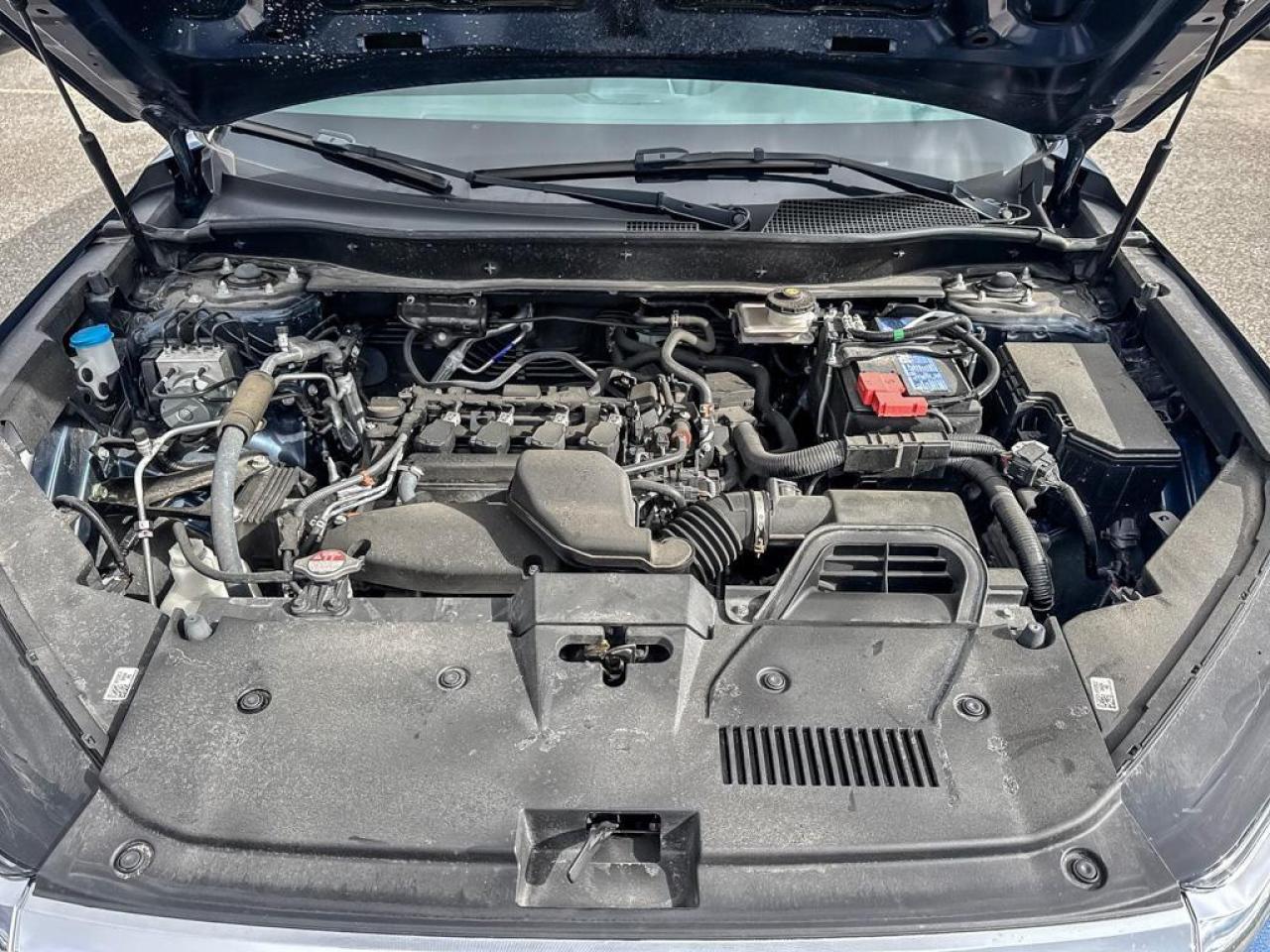 2024 Honda CR-V EX-L Photo