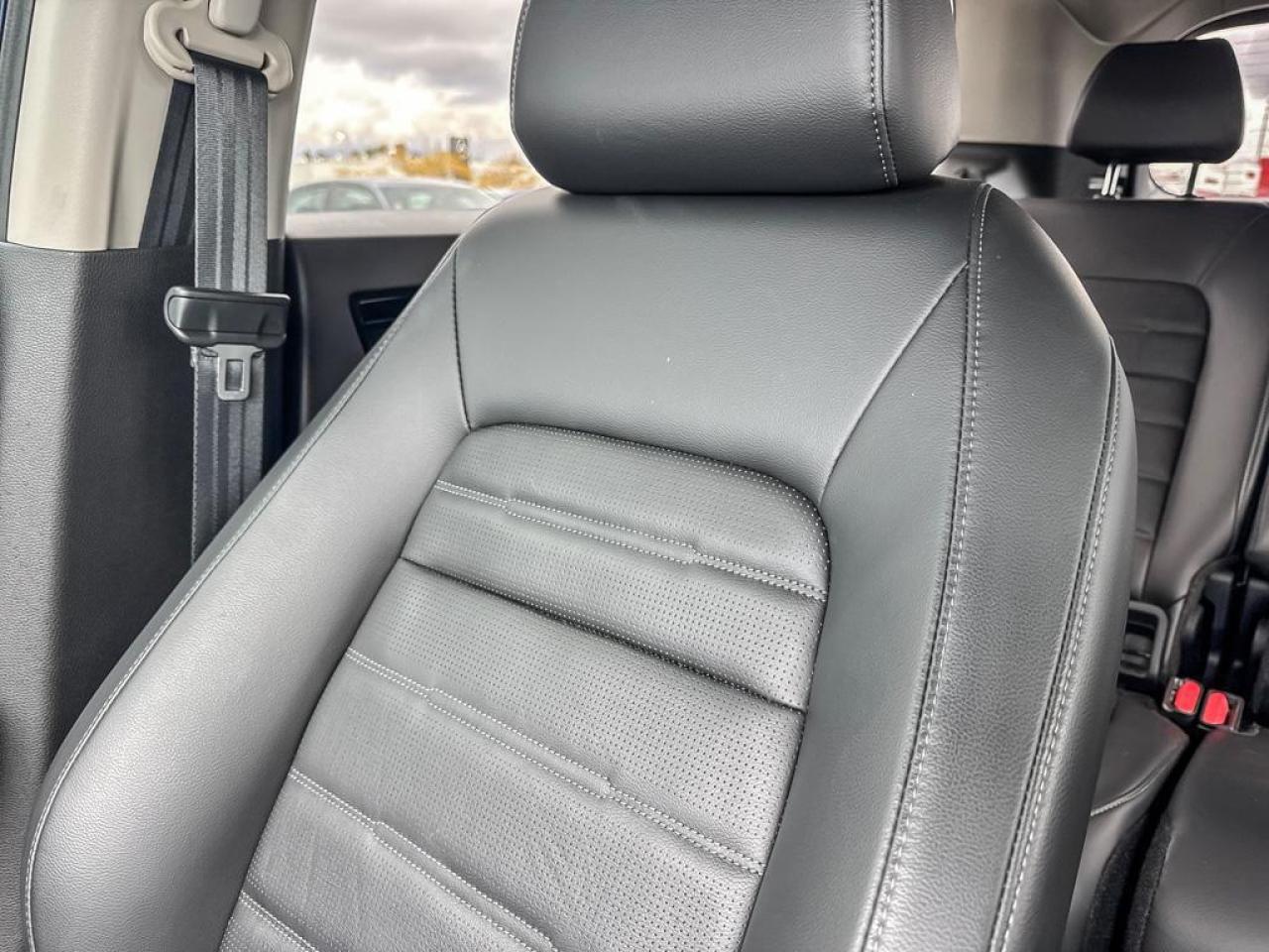 2024 Honda CR-V EX-L Photo