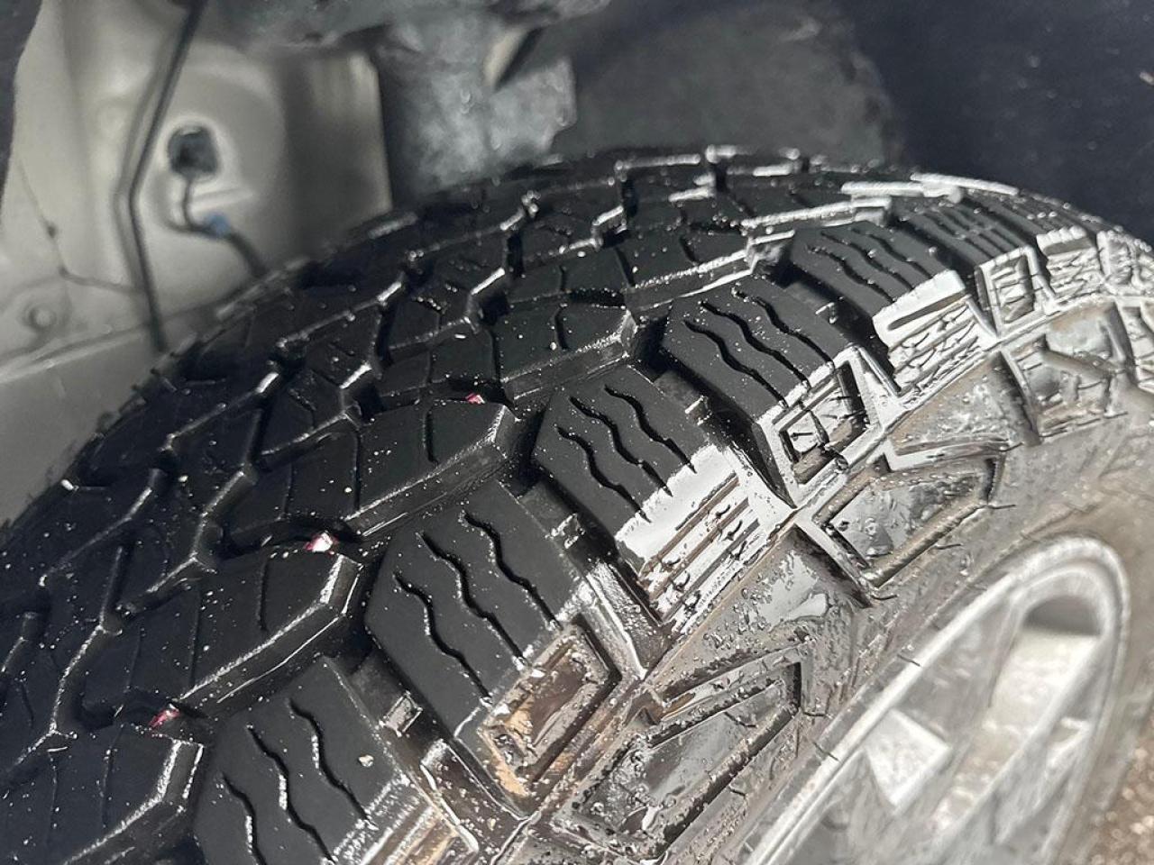 2024 Honda Passport TRAILSPORT Photo