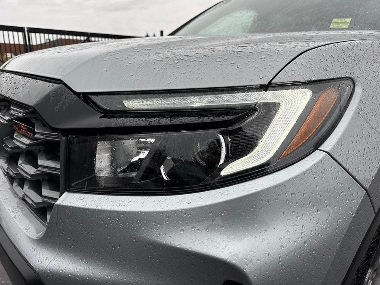 2024 Honda Passport TRAILSPORT Photo