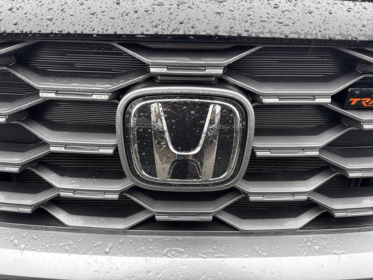 2024 Honda Passport TRAILSPORT Photo