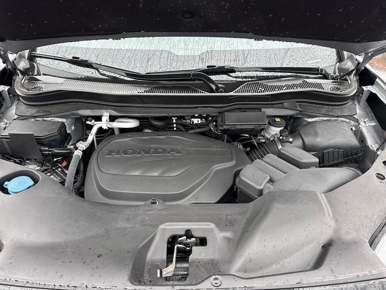 2024 Honda Passport TRAILSPORT Photo