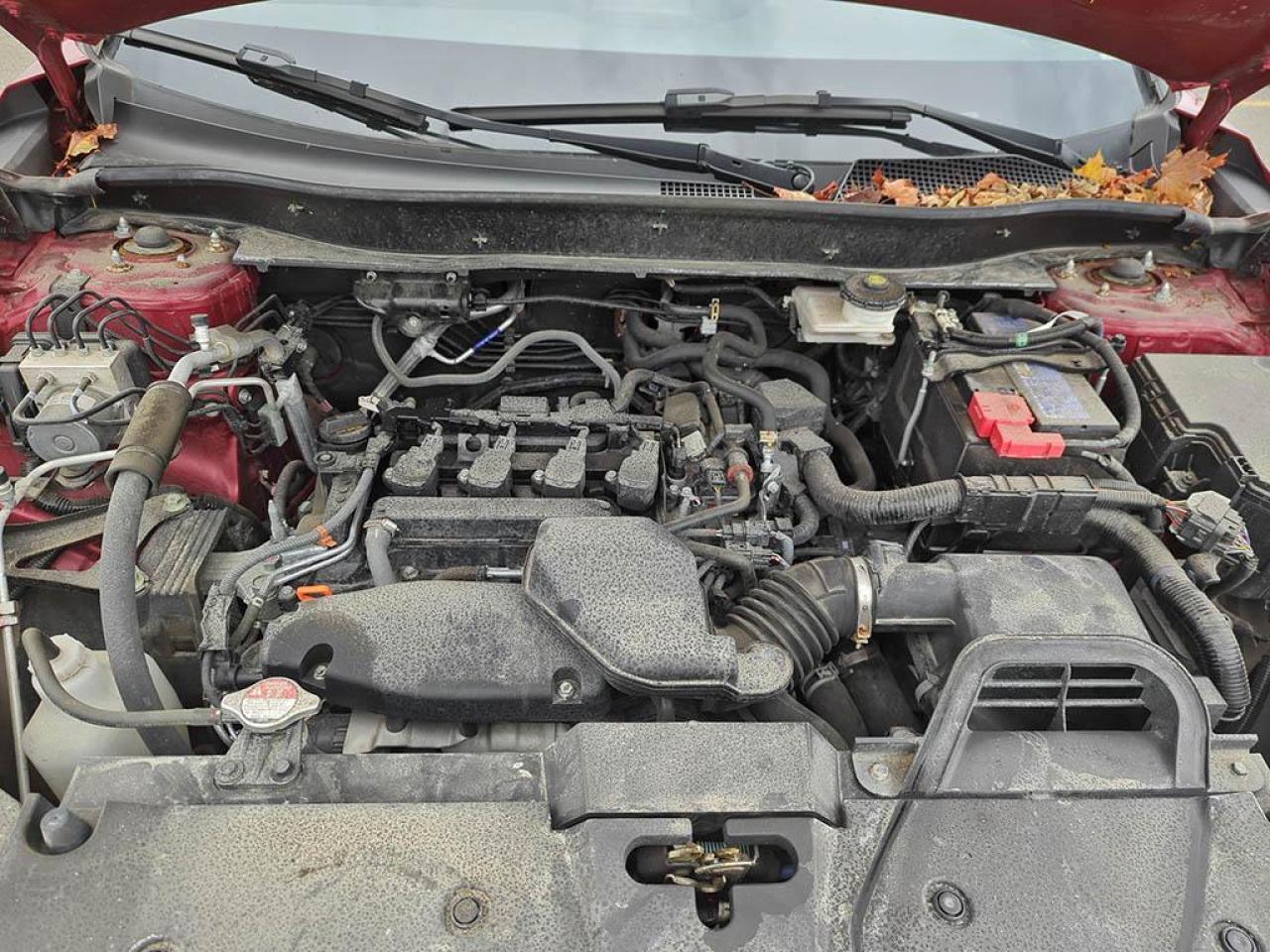 2024 Honda CR-V Sport Photo