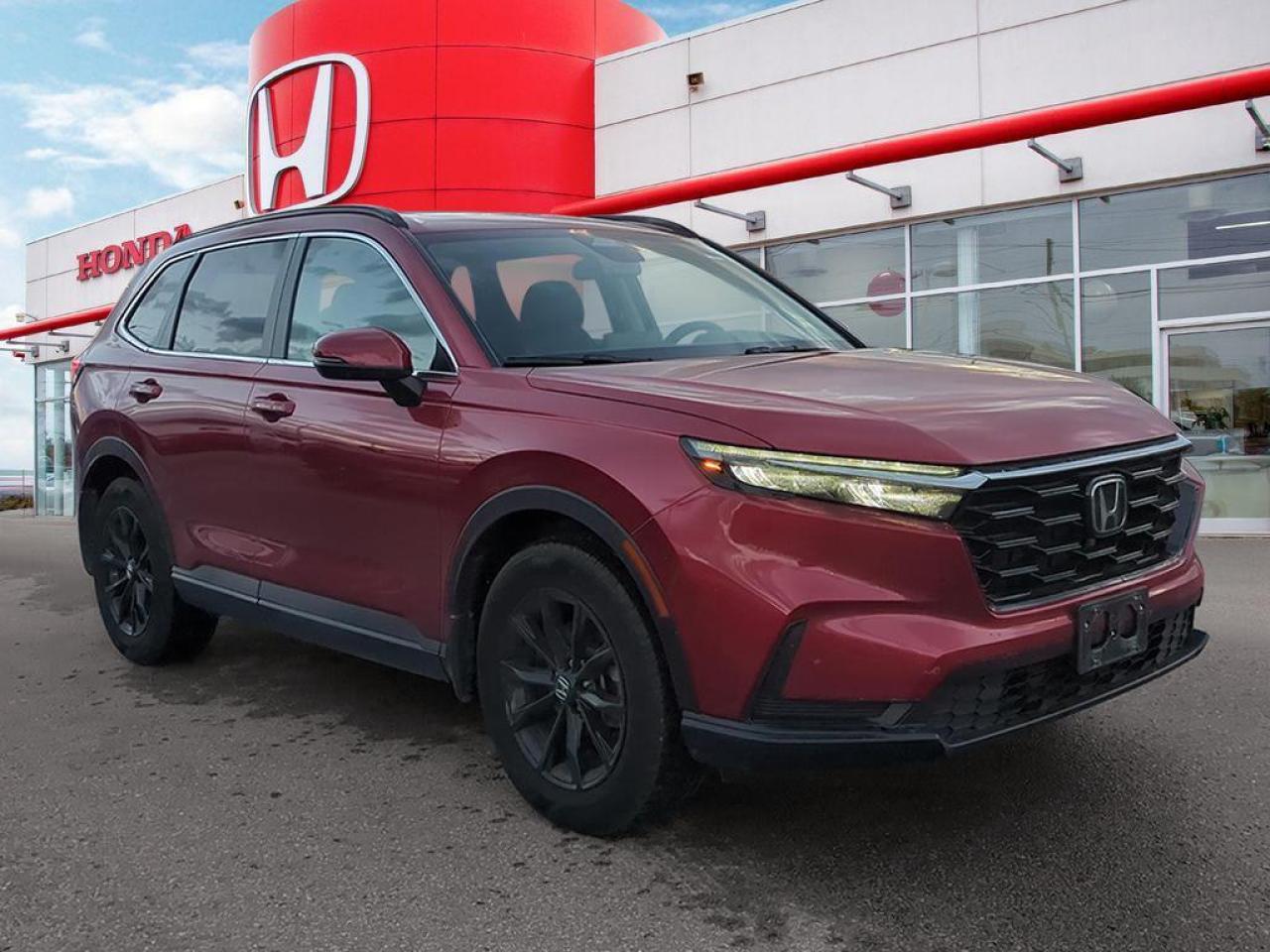 2024 Honda CR-V Sport Photo