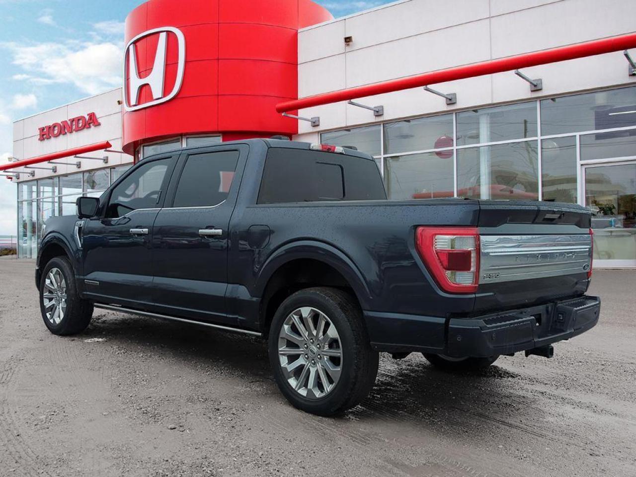 2022 Ford F-150 Limited  Photo