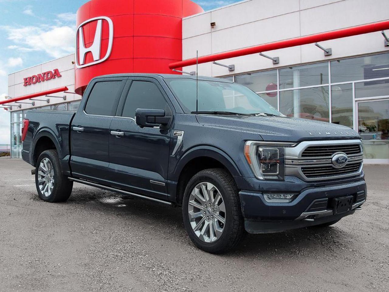 2022 Ford F-150 Limited  Photo