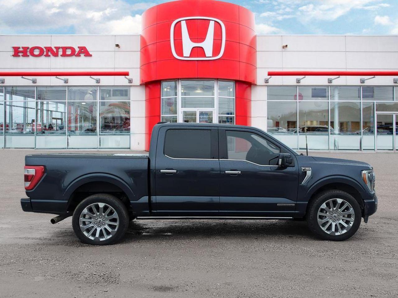 2022 Ford F-150 Limited  Photo