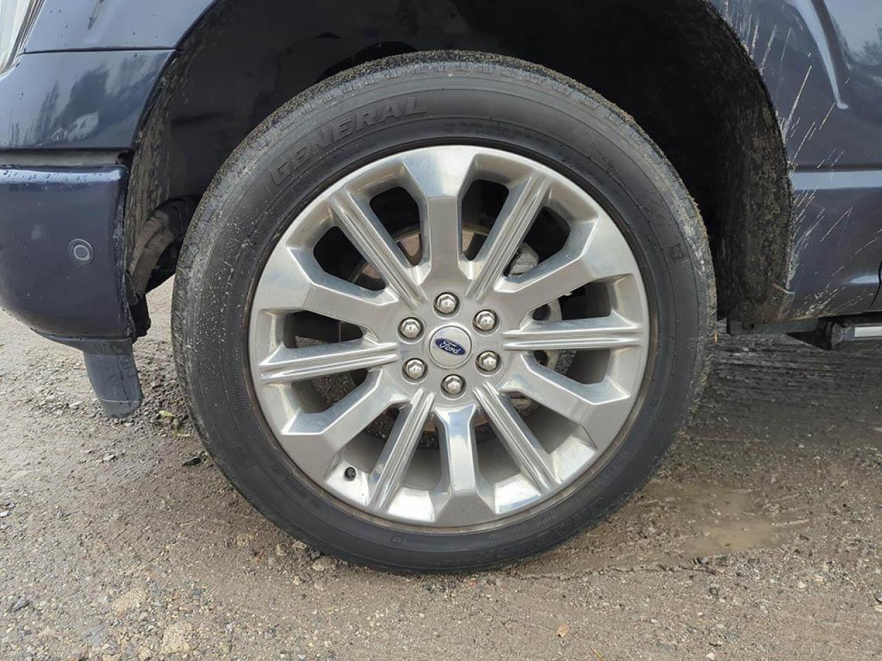 2022 Ford F-150 Limited  Photo