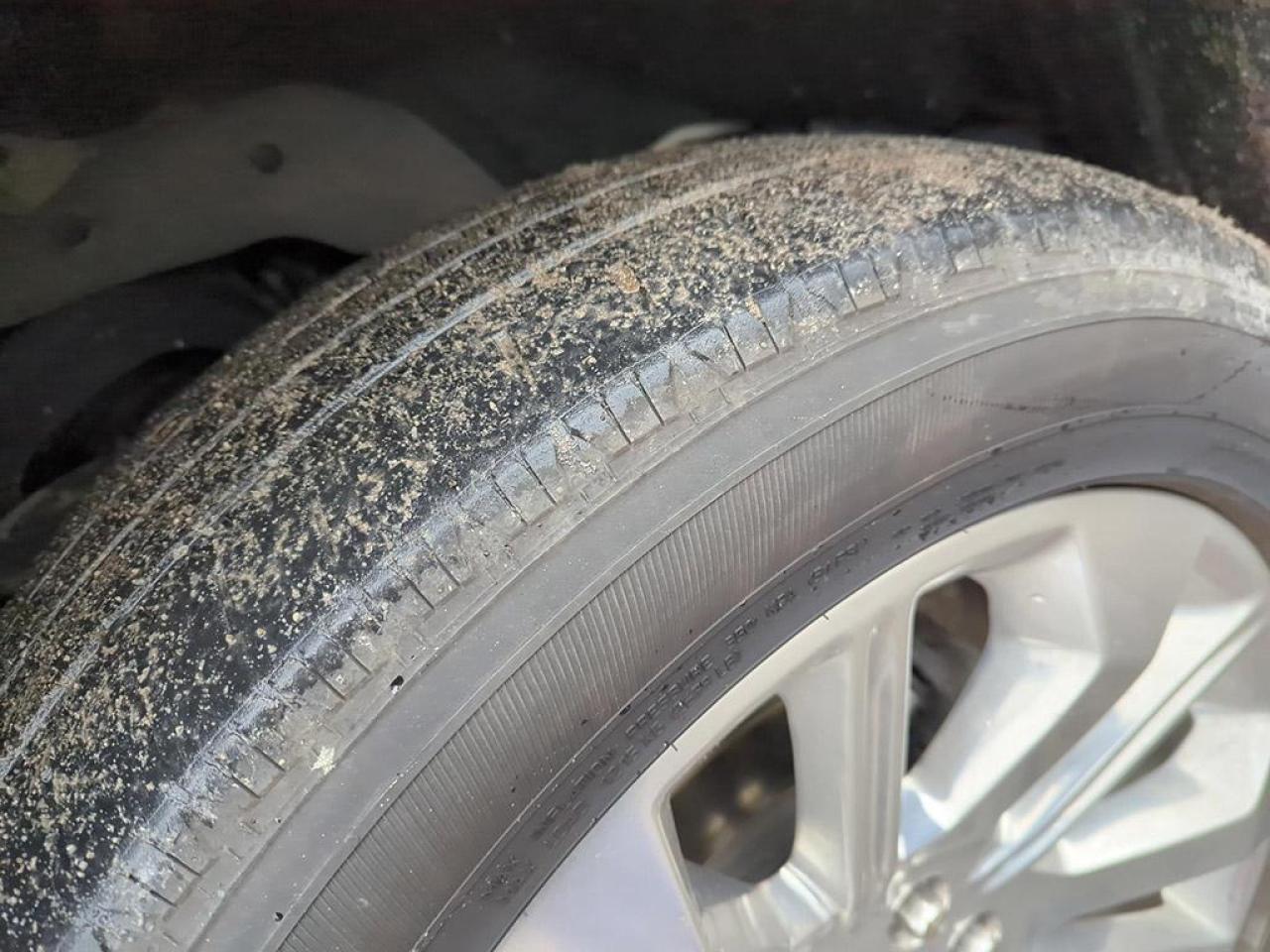 2022 Ford F-150 Limited  Photo