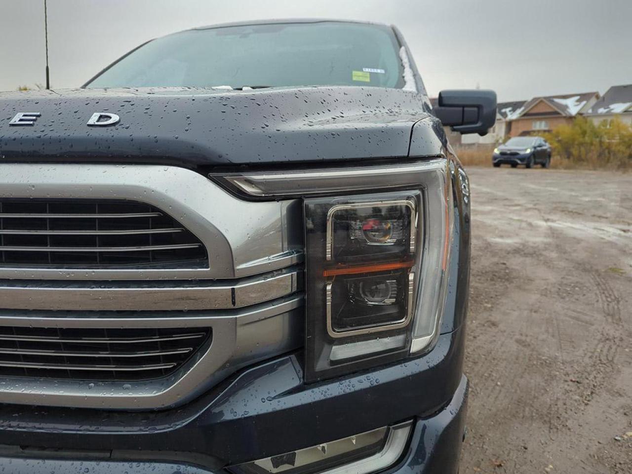 2022 Ford F-150 Limited  Photo