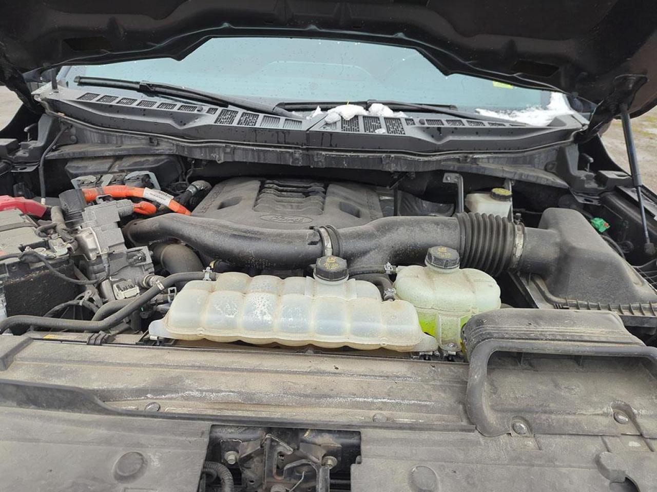 2022 Ford F-150 Limited  Photo