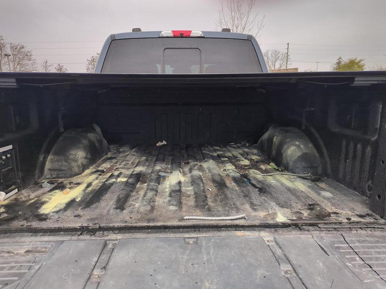 2022 Ford F-150 Limited  Photo