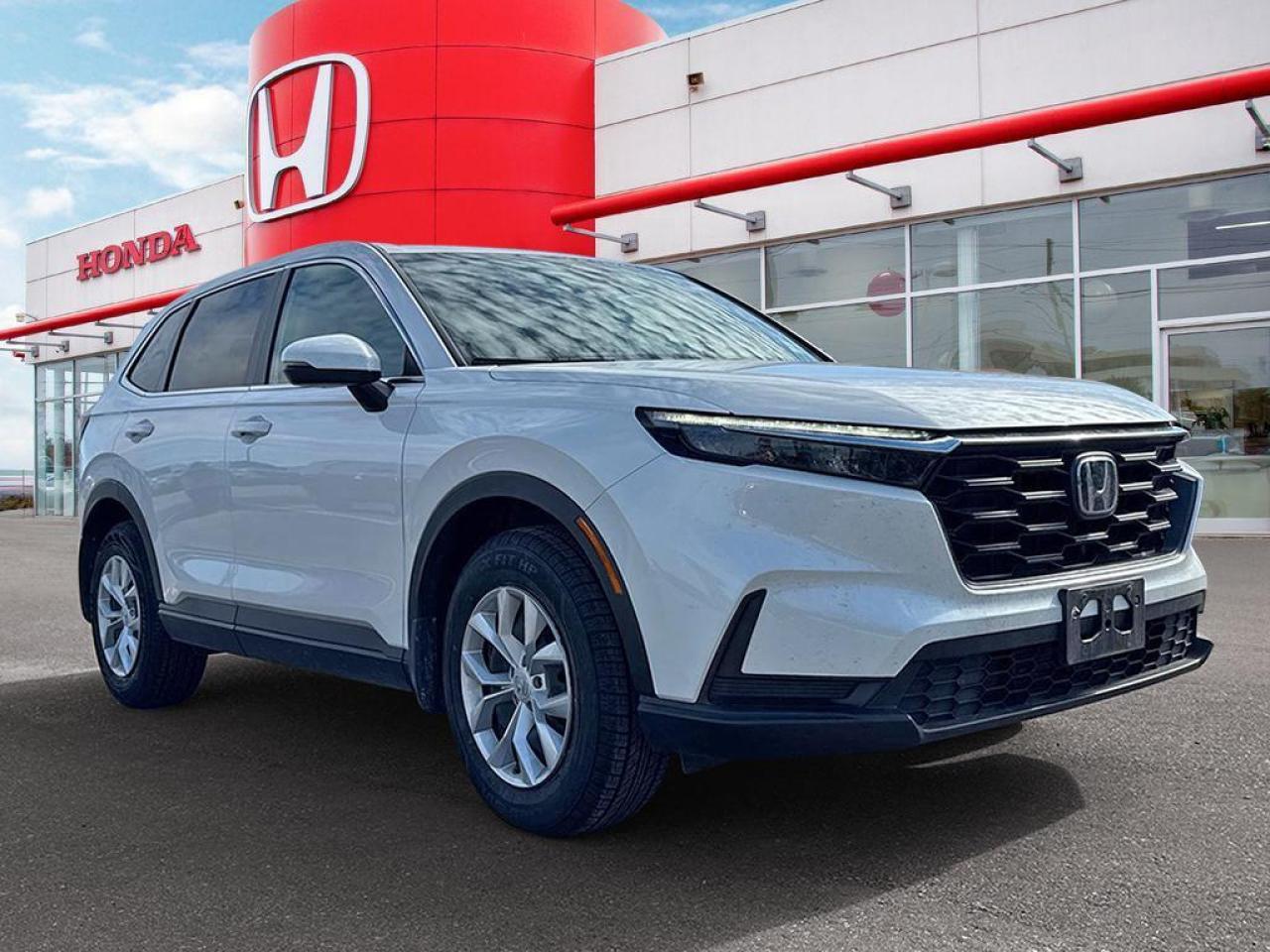 2024 Honda CR-V LX Photo