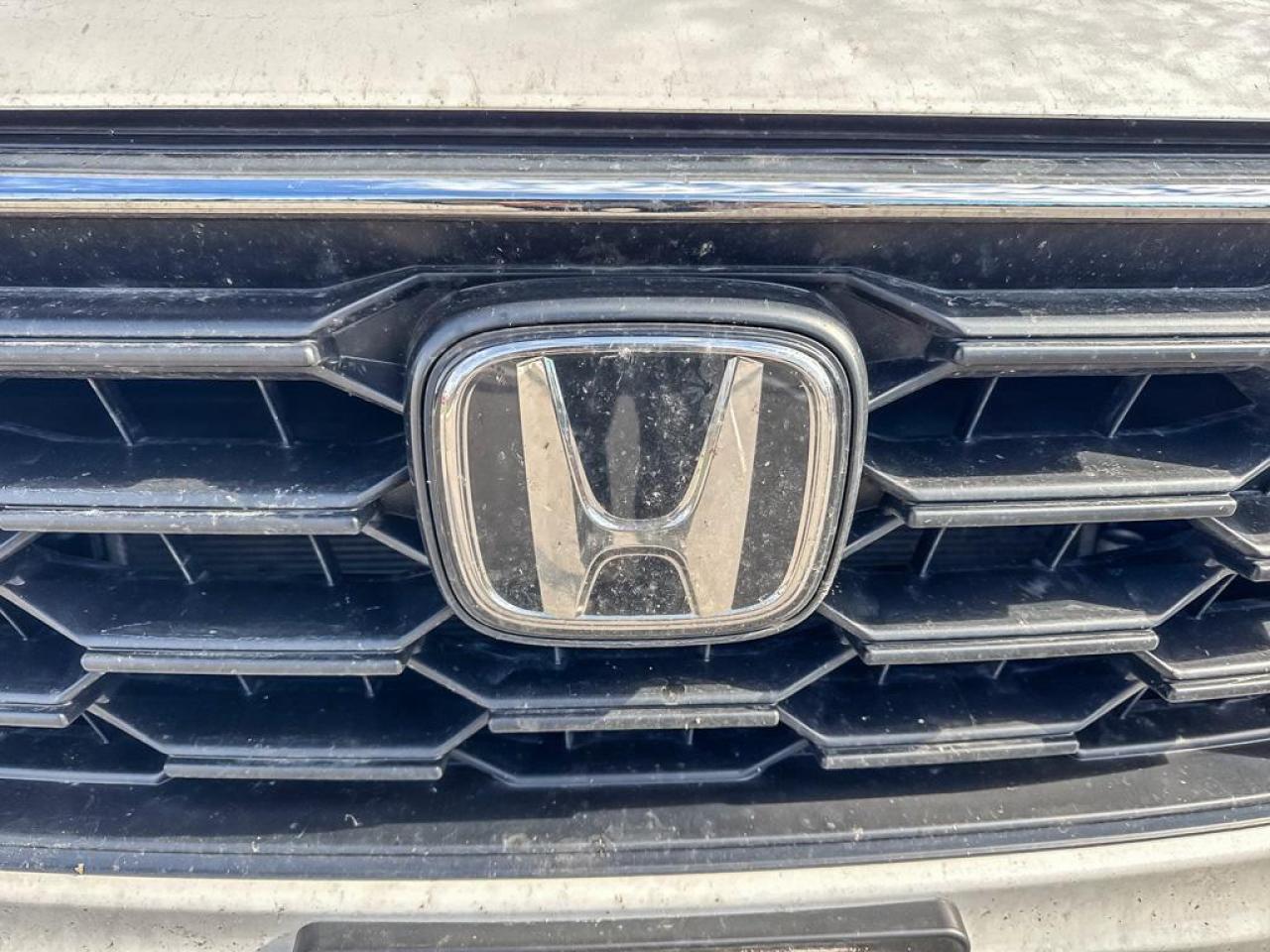 2024 Honda CR-V LX Photo