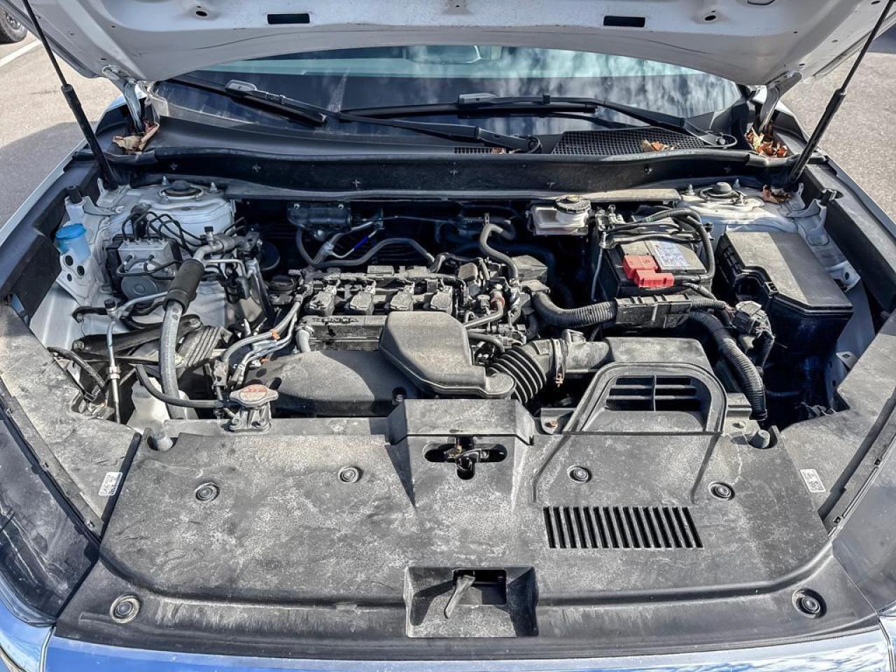 2024 Honda CR-V LX Photo