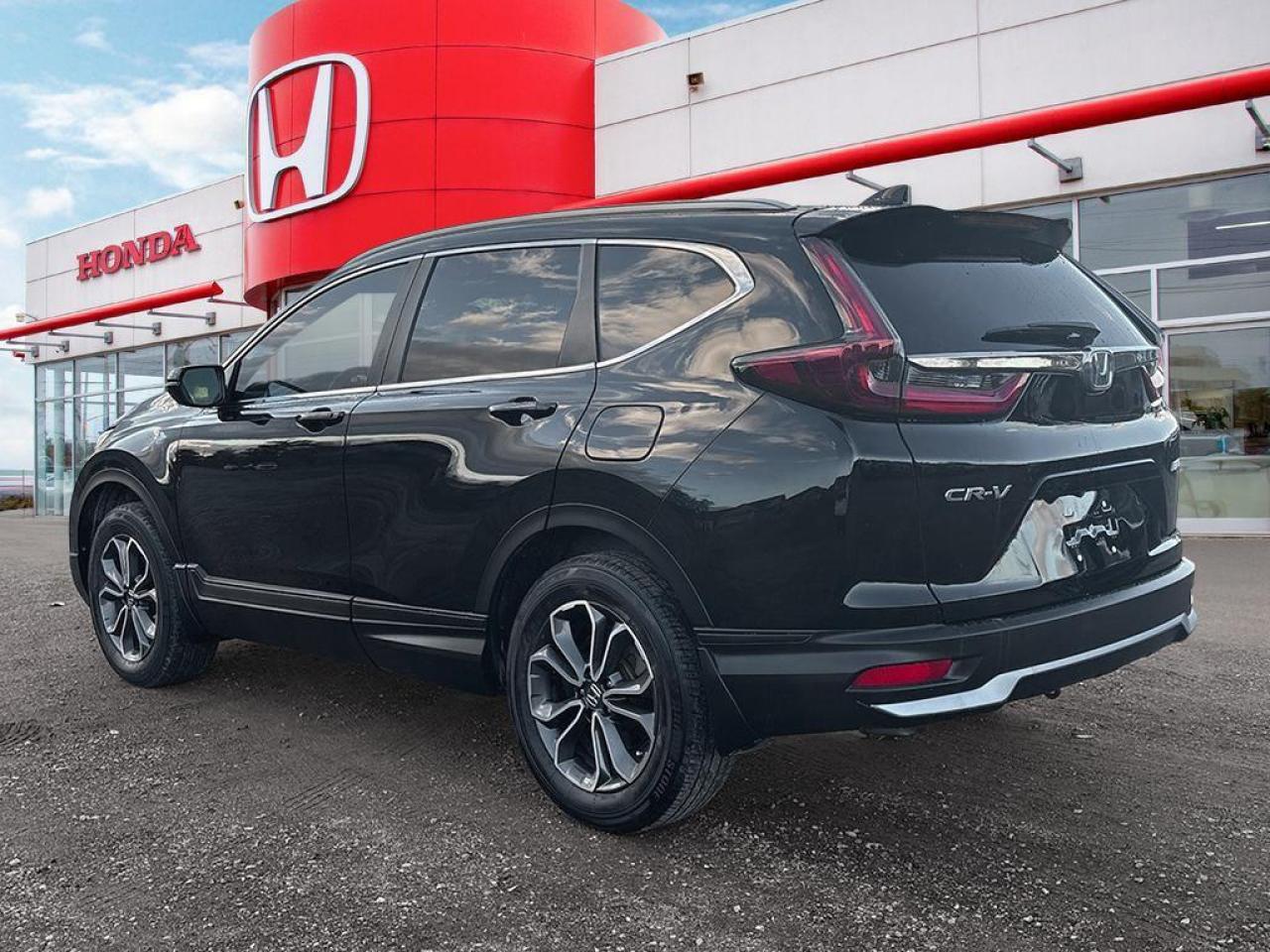 2020 Honda CR-V EX-L Photo