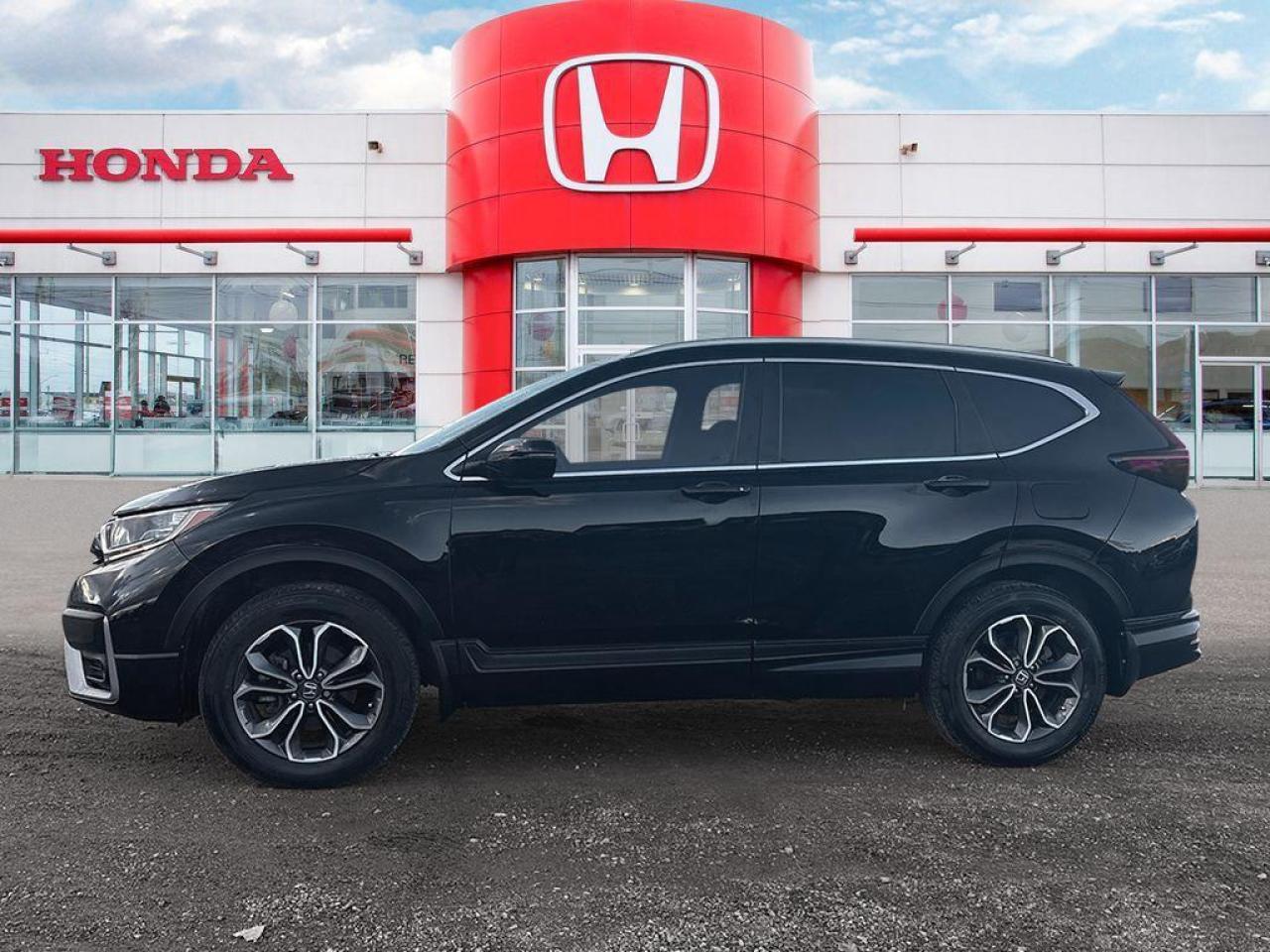 2020 Honda CR-V EX-L Photo