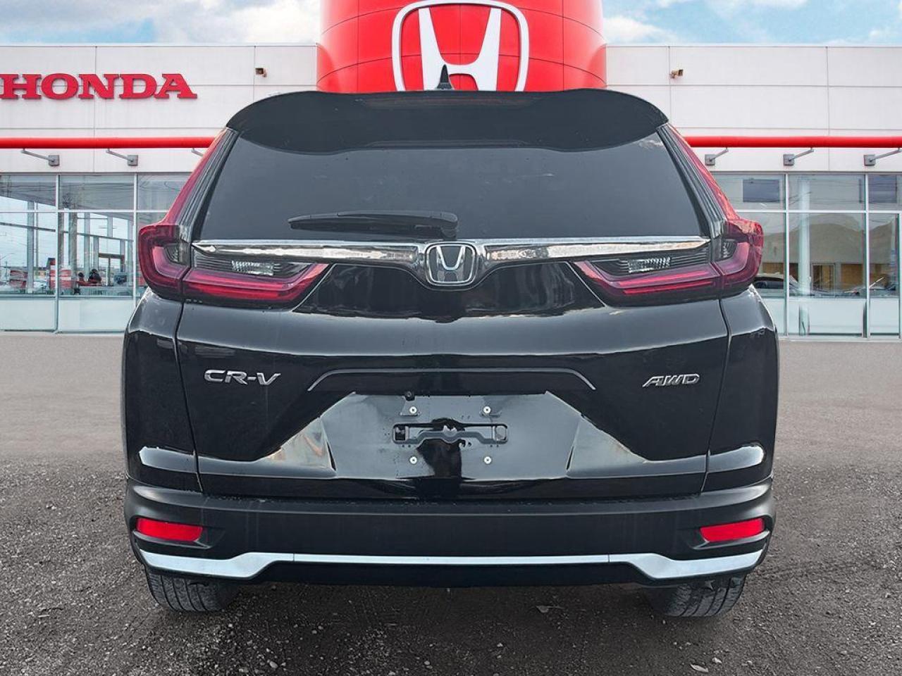 2020 Honda CR-V EX-L Photo