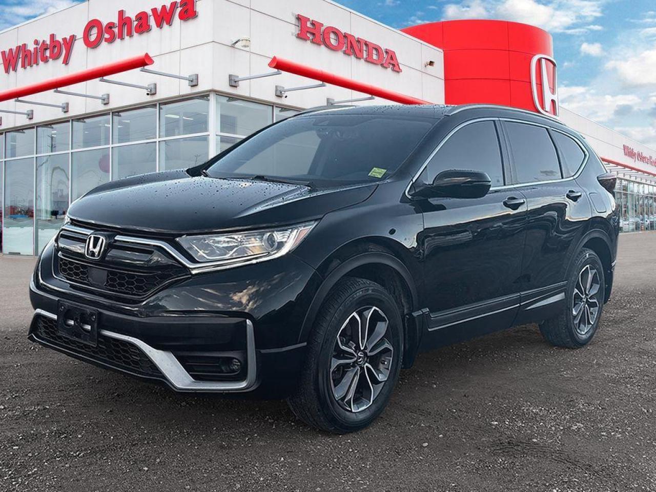 2020 Honda CR-V EX-L Photo