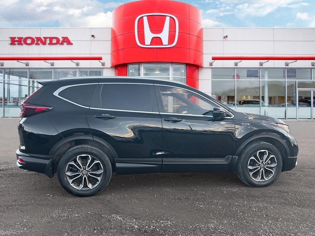 2020 Honda CR-V EX-L Photo