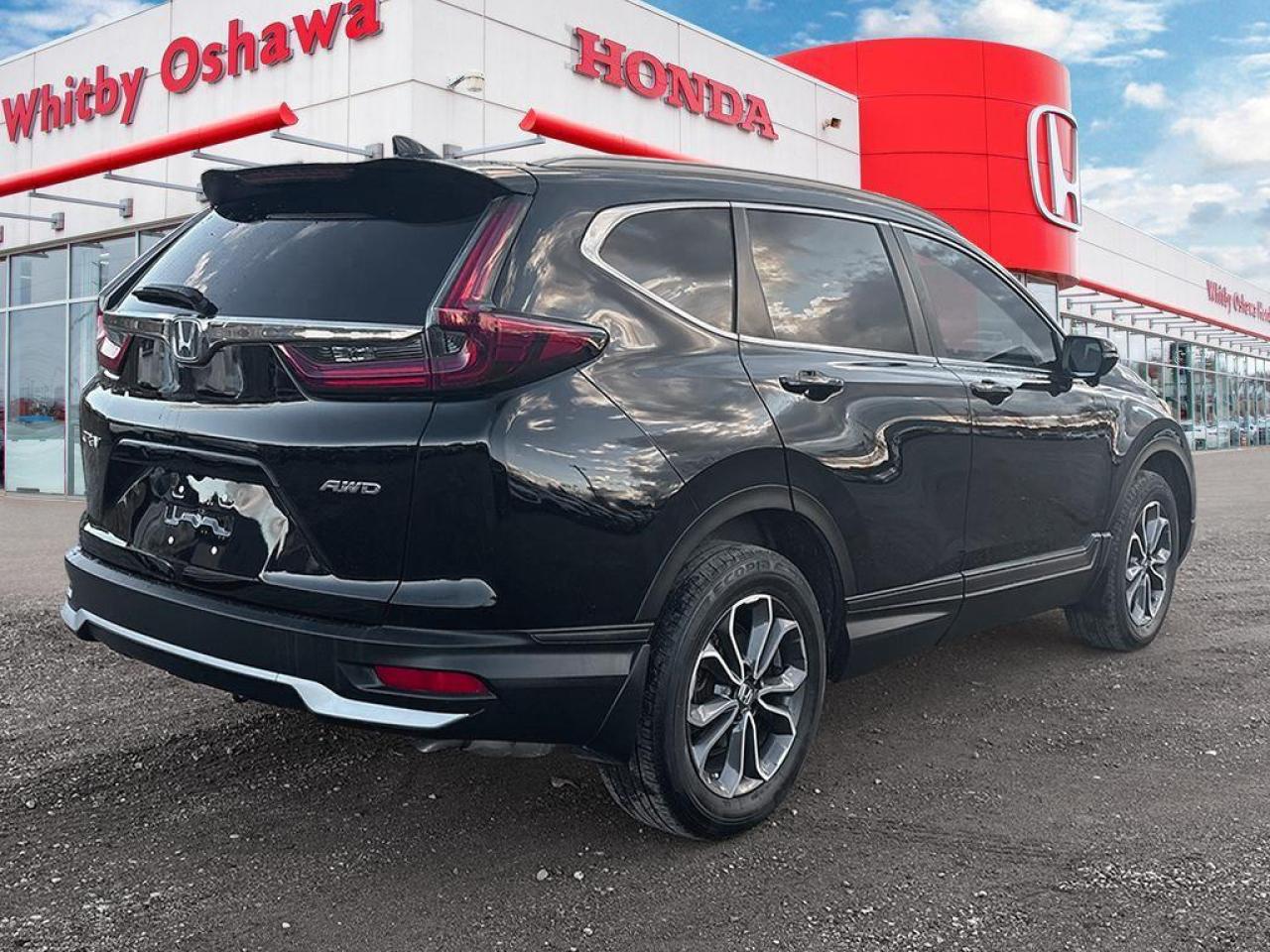 2020 Honda CR-V EX-L Photo
