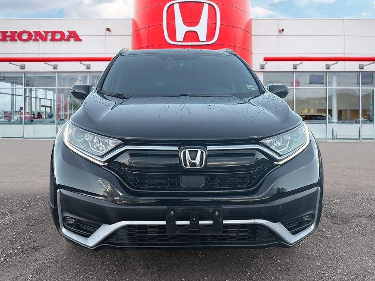 2020 Honda CR-V EX-L Photo