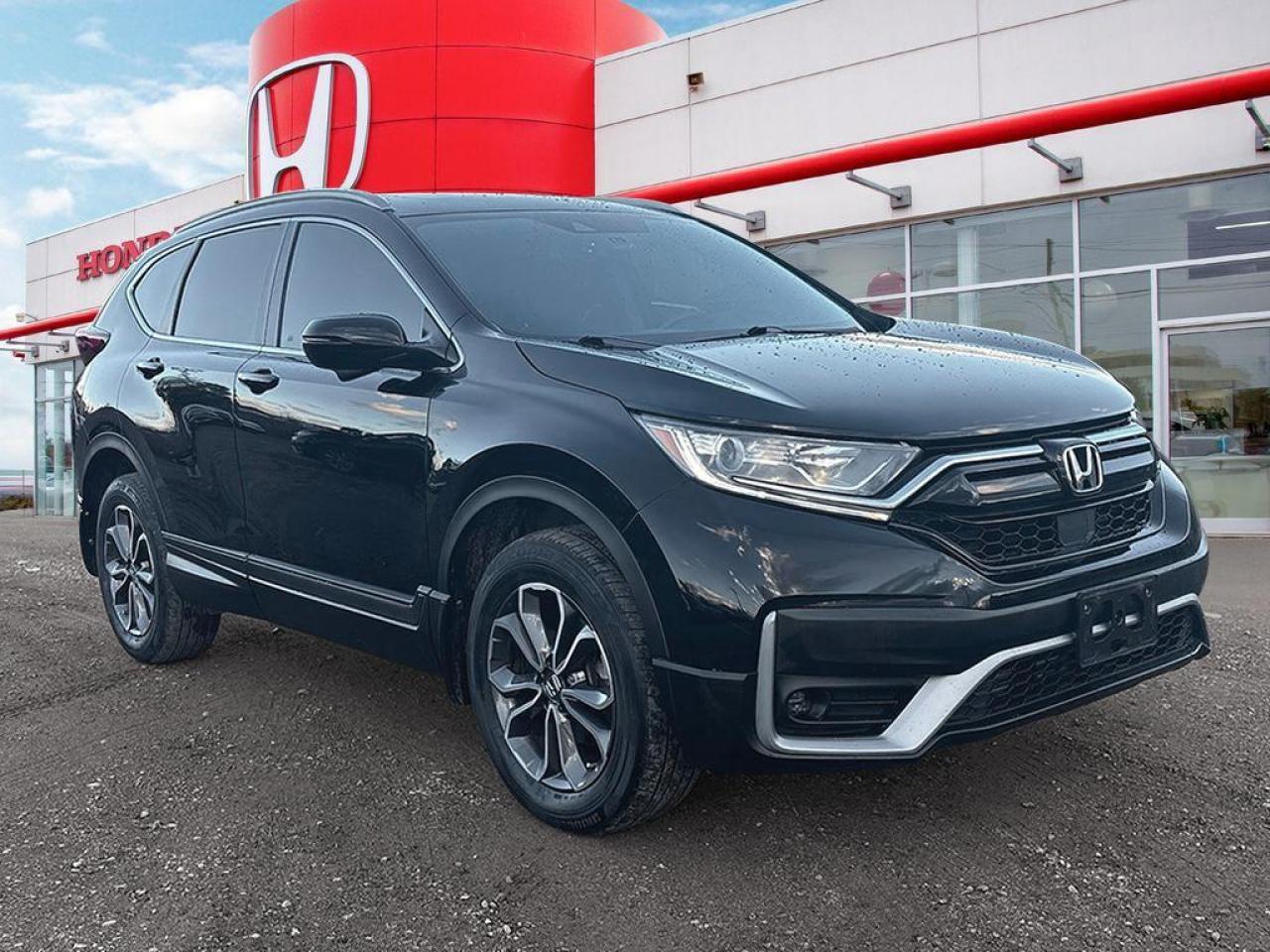 2020 Honda CR-V EX-L Photo