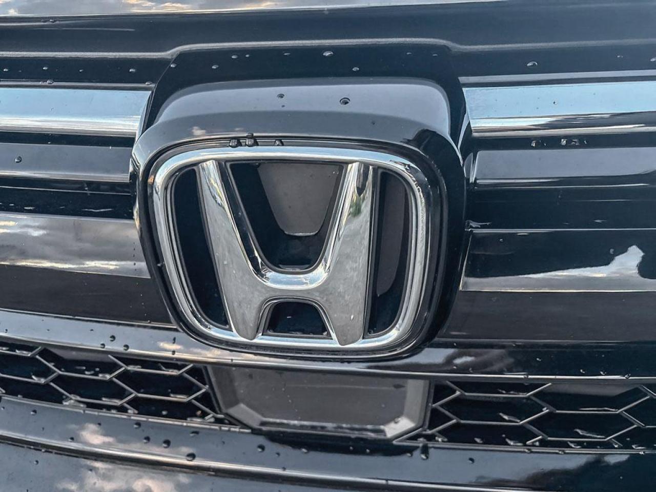2020 Honda CR-V EX-L Photo