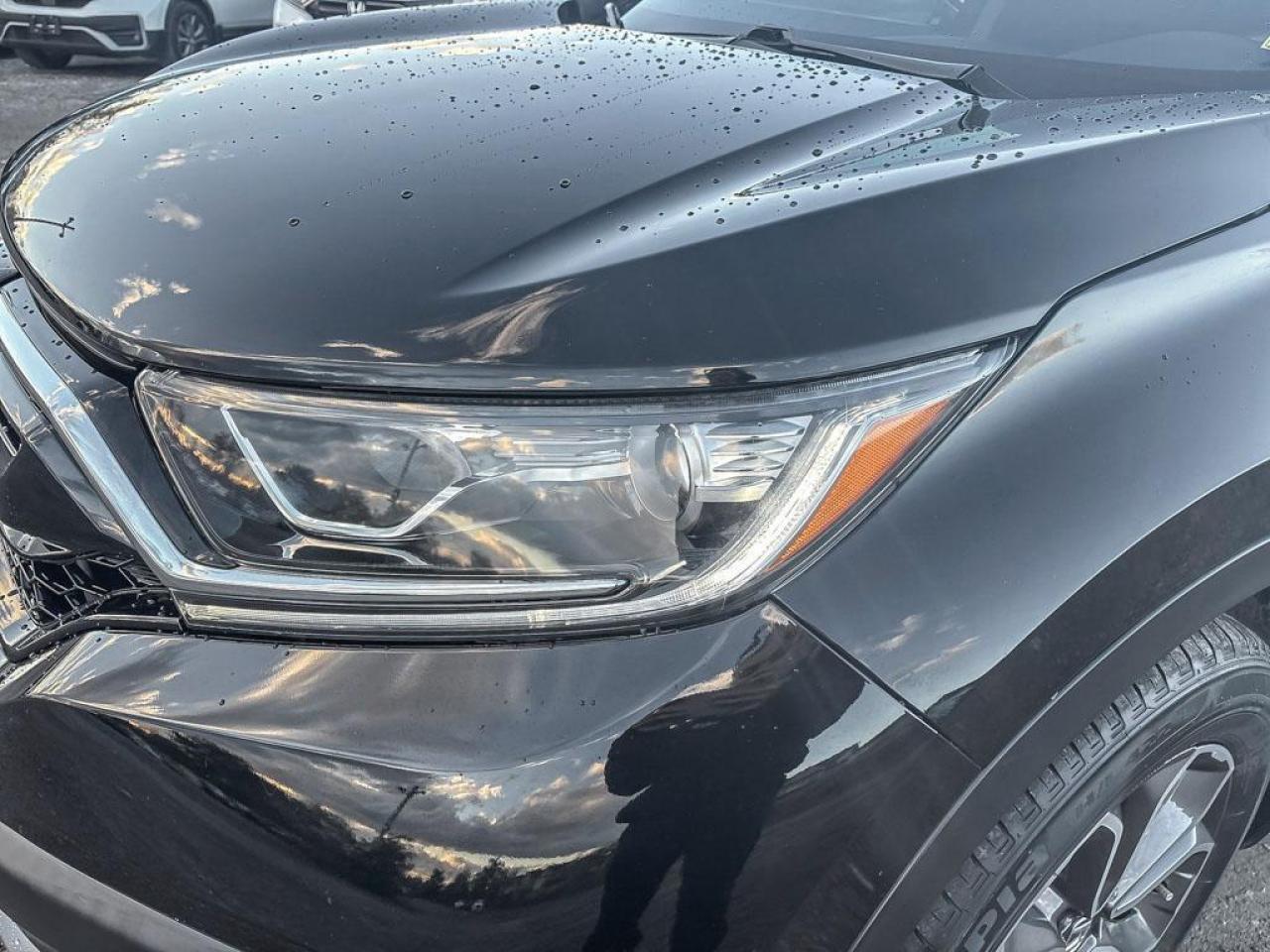 2020 Honda CR-V EX-L Photo