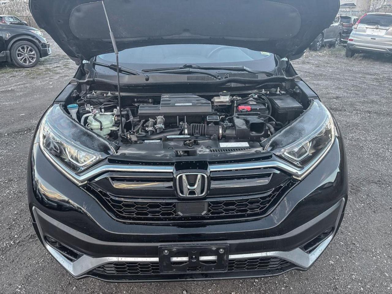 2020 Honda CR-V EX-L Photo