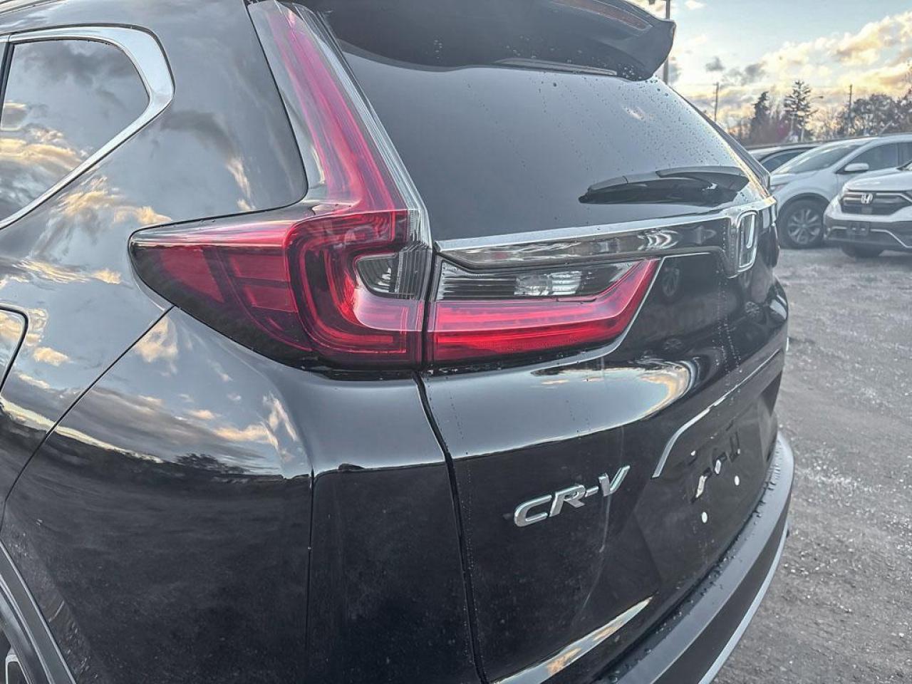2020 Honda CR-V EX-L Photo