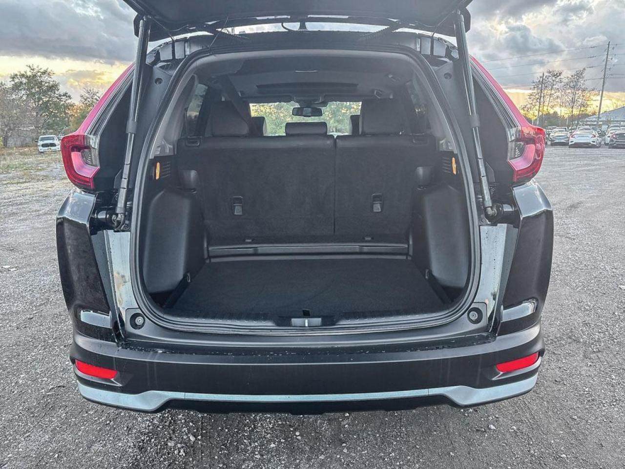 2020 Honda CR-V EX-L Photo