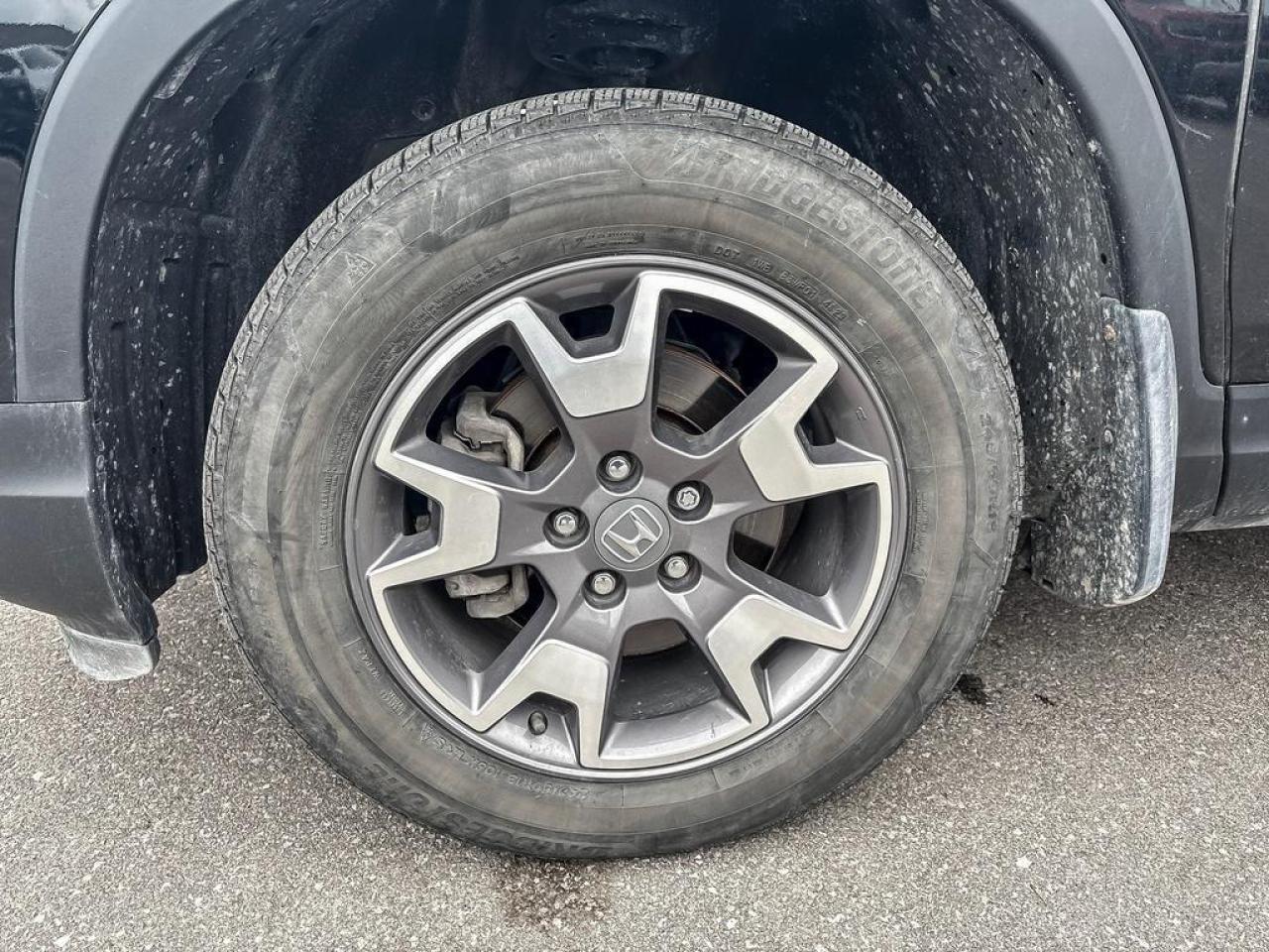 2023 Honda Passport TRAILSPORT Photo