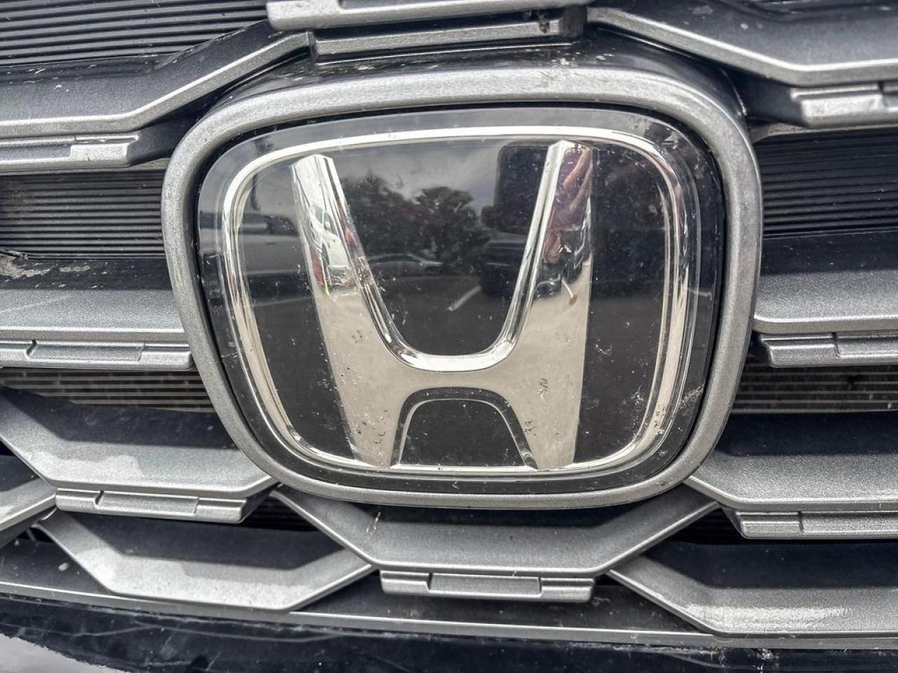 2023 Honda Passport TRAILSPORT Photo