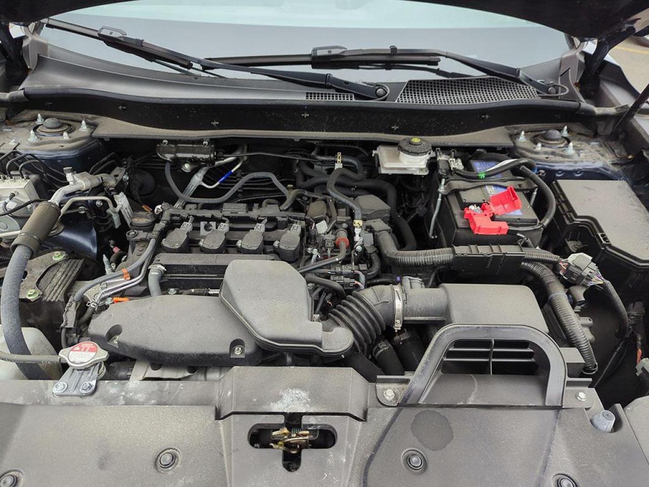 2024 Honda CR-V EX-L Photo