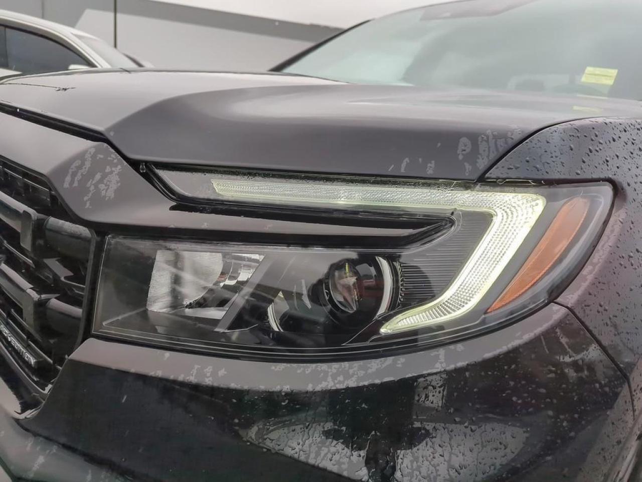 2024 Honda Ridgeline Black Edition Photo