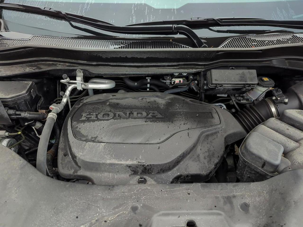 2024 Honda Ridgeline Black Edition Photo