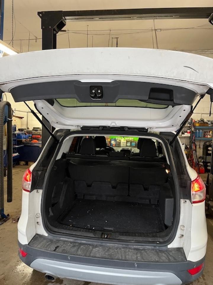 2014 Ford Escape FWD 4dr SE Photo