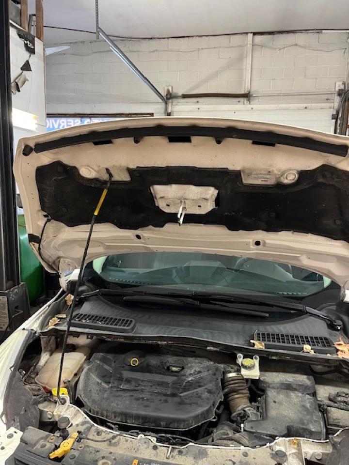 2014 Ford Escape FWD 4dr SE Photo