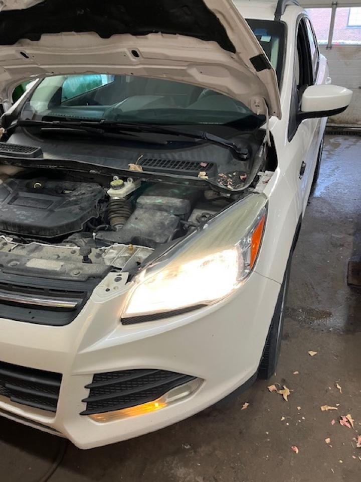 2014 Ford Escape FWD 4dr SE Photo