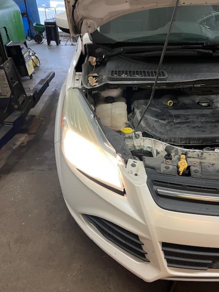 2014 Ford Escape FWD 4dr SE Photo