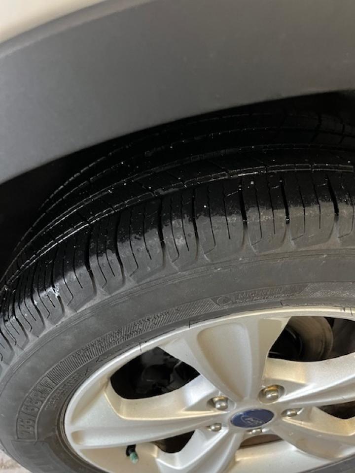 2014 Ford Escape FWD 4dr SE Photo