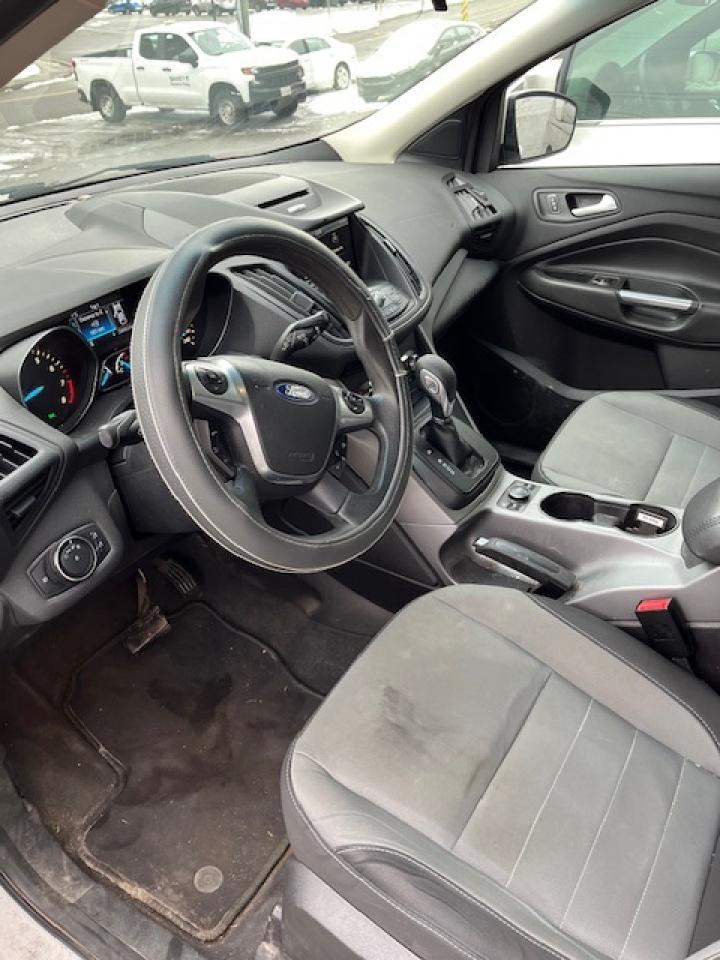 2014 Ford Escape FWD 4dr SE Photo