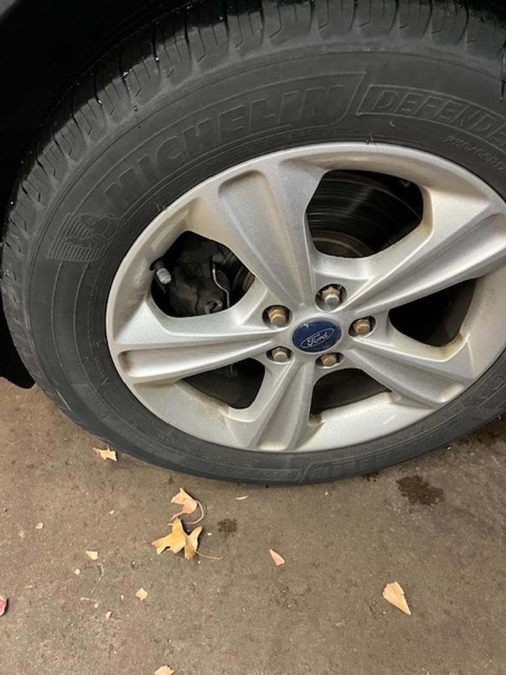 2014 Ford Escape FWD 4dr SE Photo