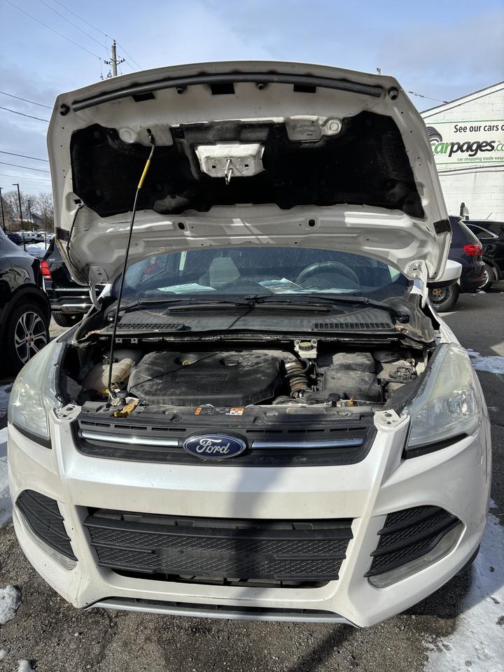 2014 Ford Escape FWD 4dr SE Photo