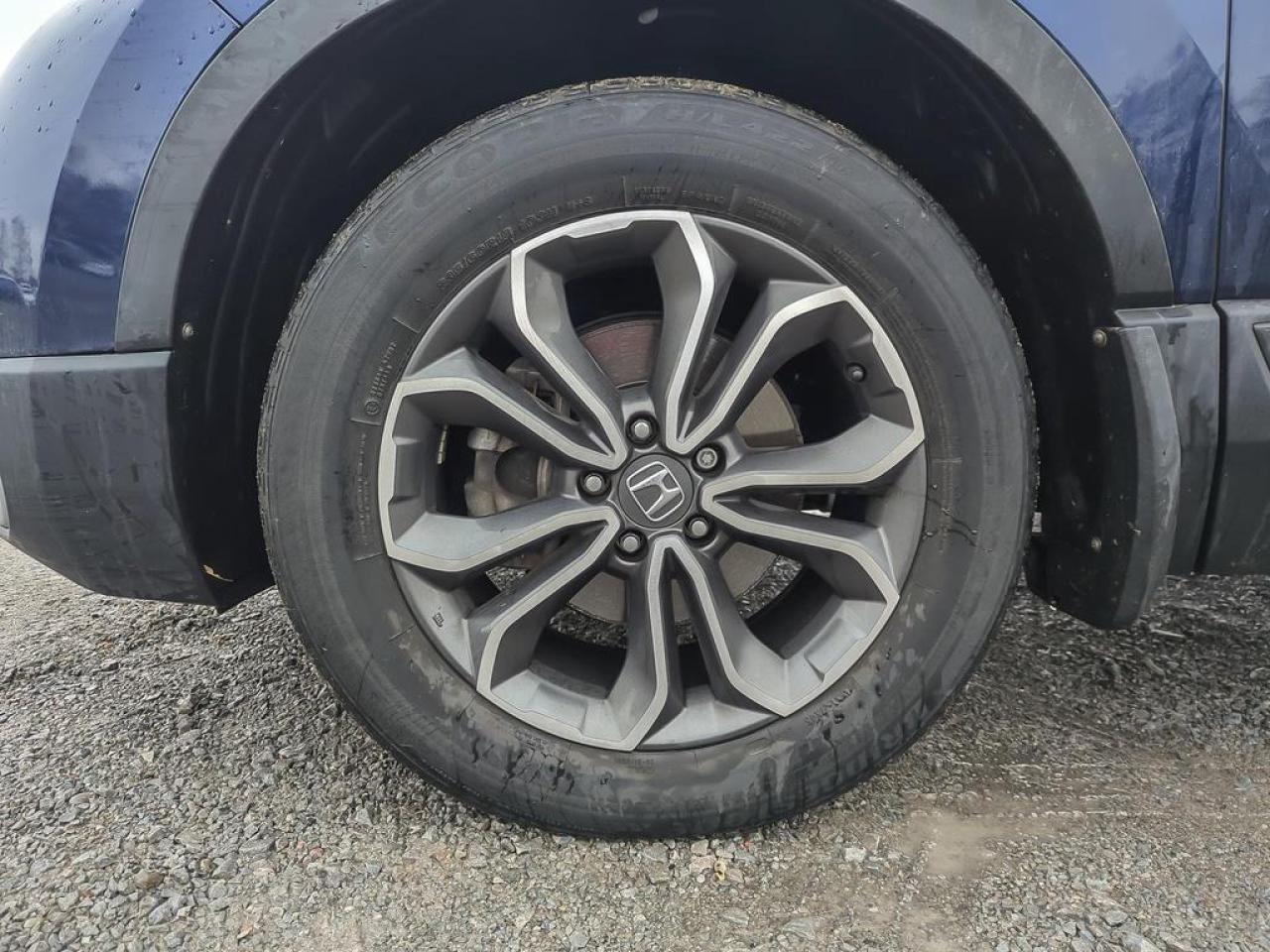 2021 Honda CR-V EX-L Photo