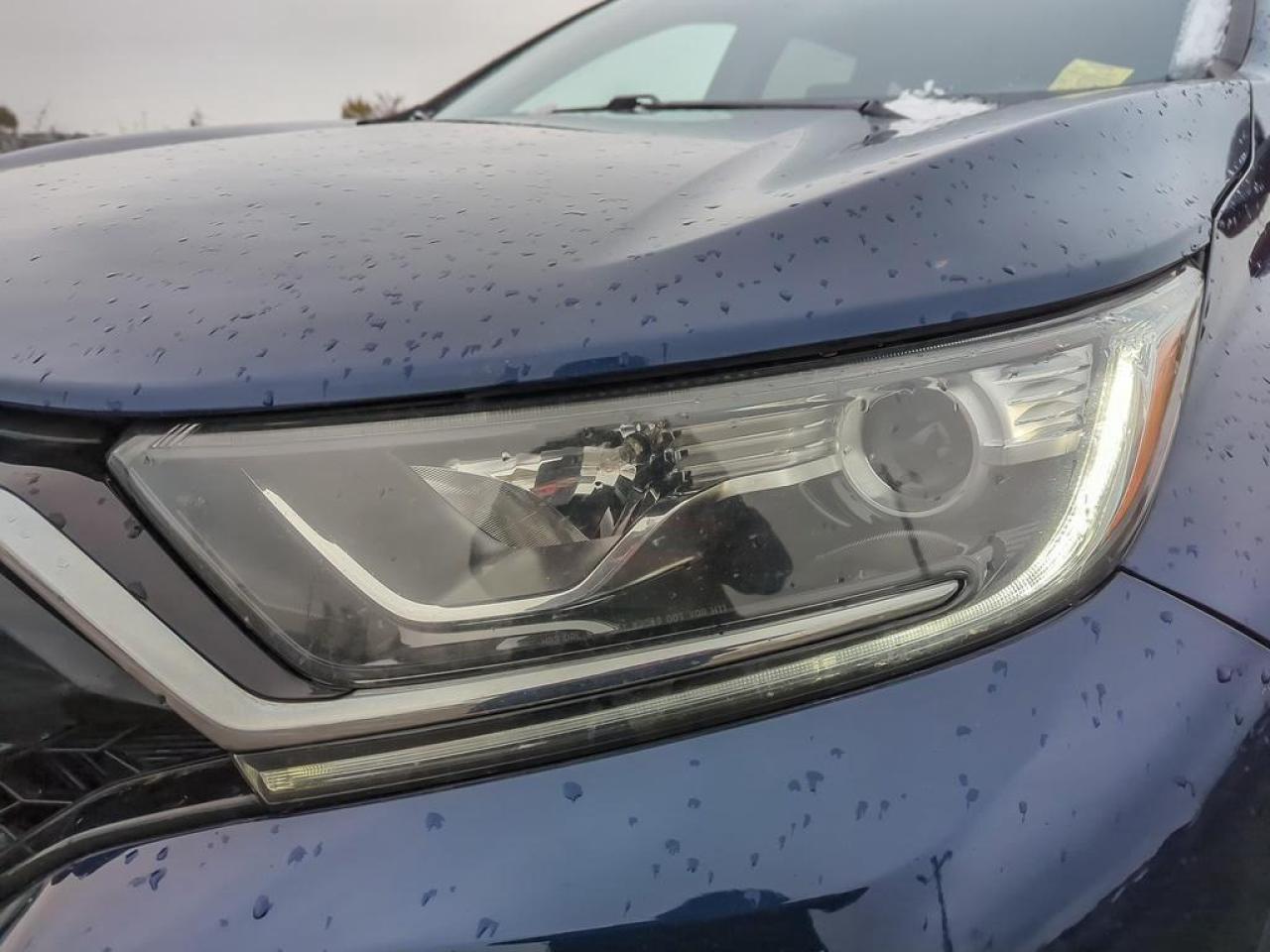 2021 Honda CR-V EX-L Photo