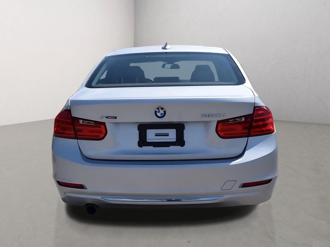 2015 BMW 3 Series 320i xDrive Luxury Photo