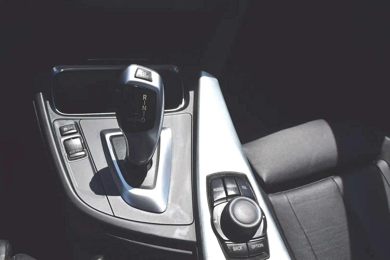 2015 BMW 3 Series 320i xDrive Luxury Photo