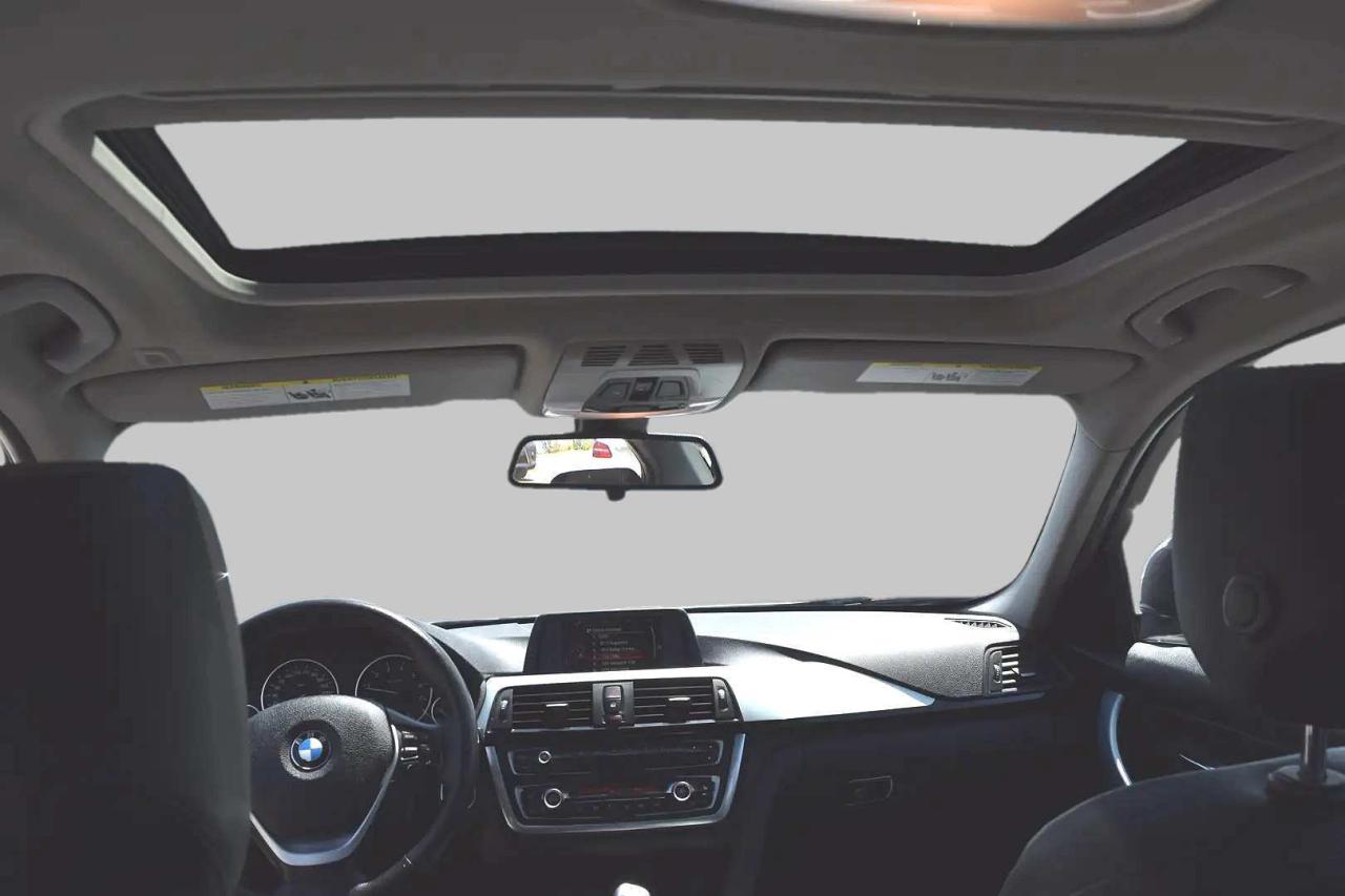 2015 BMW 3 Series 320i xDrive Luxury Photo